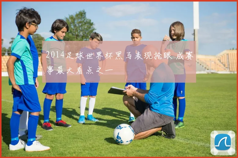 2014足球世界杯黑马表现抢眼 成赛事最大看点之一