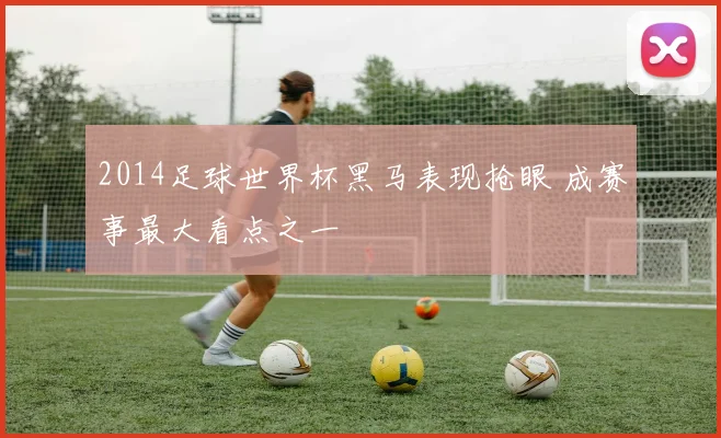 2014足球世界杯黑马表现抢眼 成赛事最大看点之一
