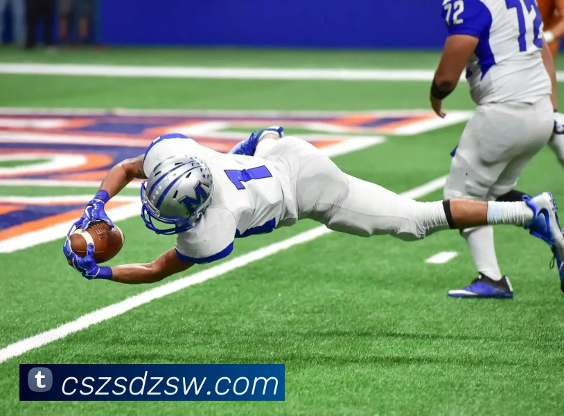 世界杯网上购票平台平台生态图